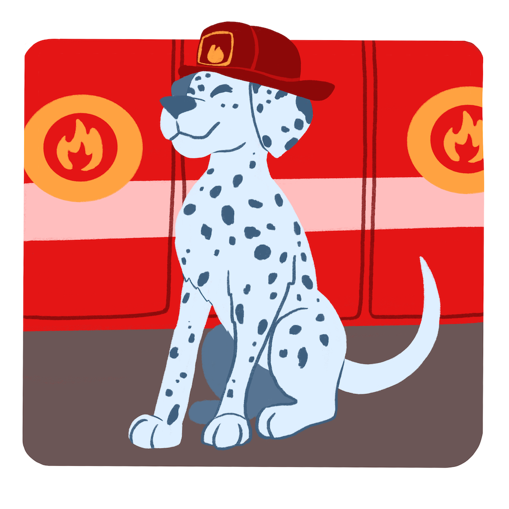 illustration of a dalmatian wearing a firefighter's hat